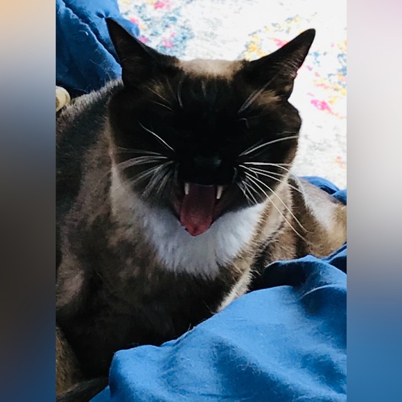 Hi! Leave a comment! β€οΈπ¦π - Picture 6 of 13